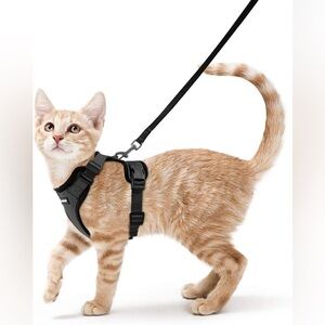 Cat harness
